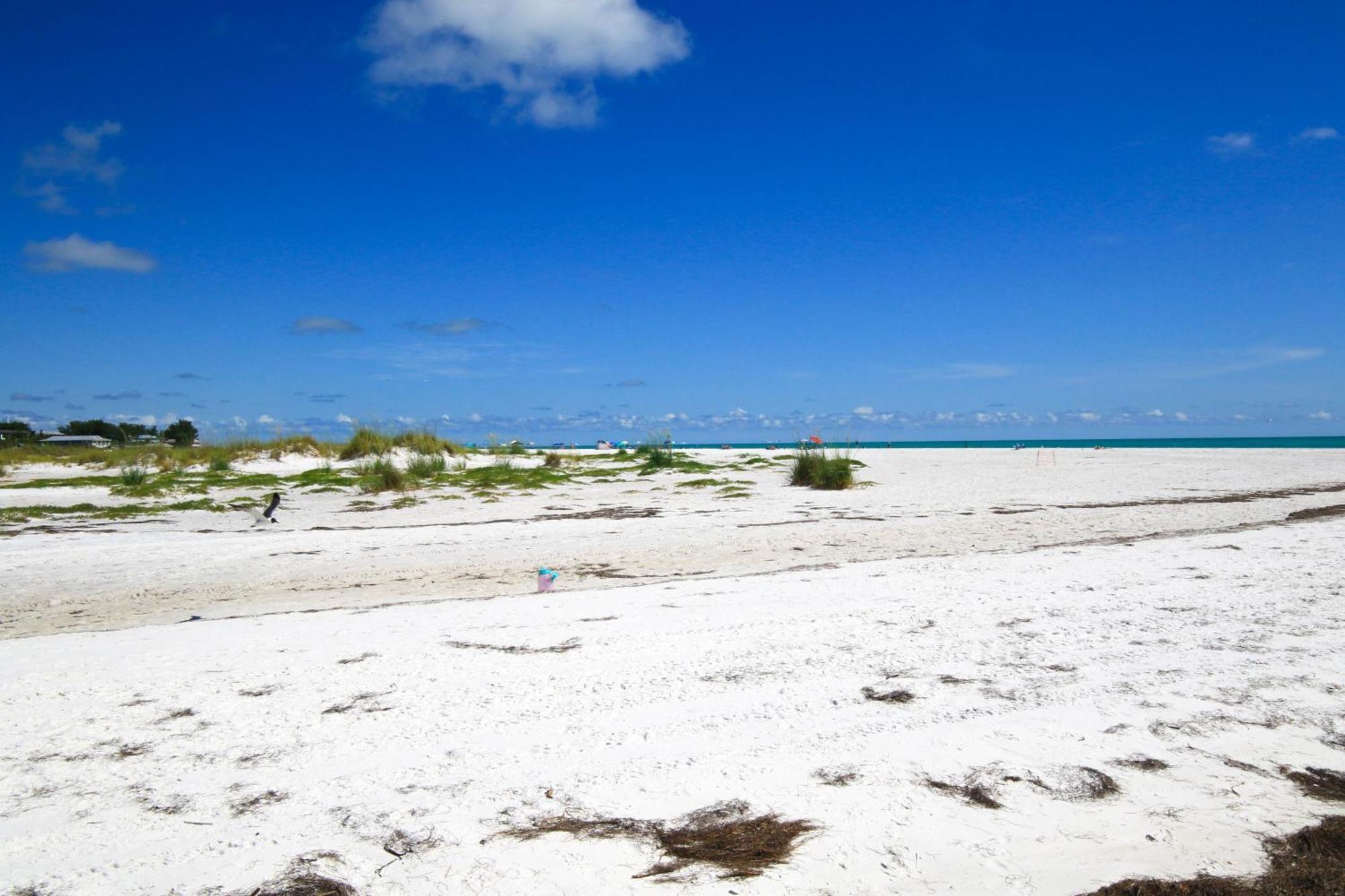 Anna Maria Island Runaway Tropical Dream-One Minute Walk To The Beach-Heated Pool Bradenton Beach Dış mekan fotoğraf