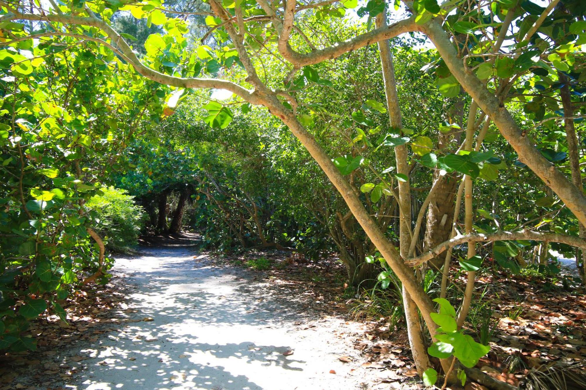 Anna Maria Island Runaway Tropical Dream-One Minute Walk To The Beach-Heated Pool Bradenton Beach Dış mekan fotoğraf